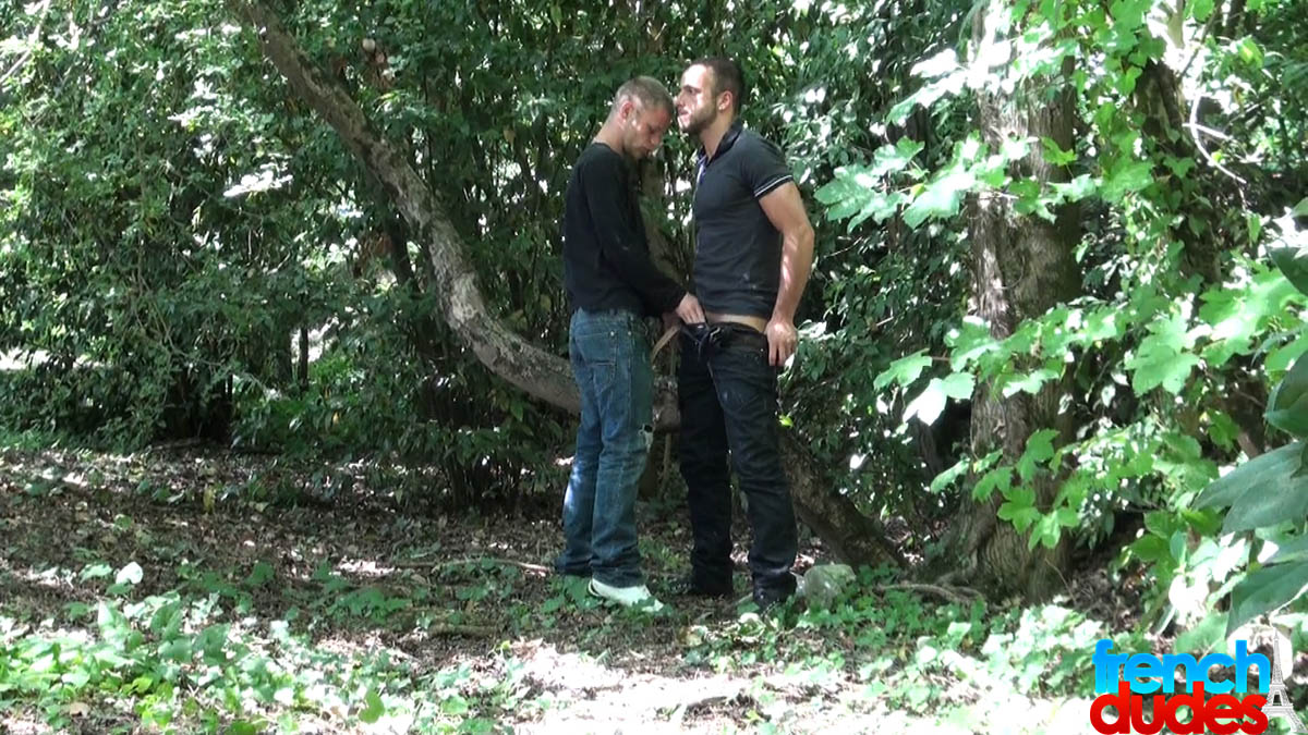 встречи геев в измайловском парке фото 15