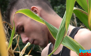 This time I think the corn is ripe