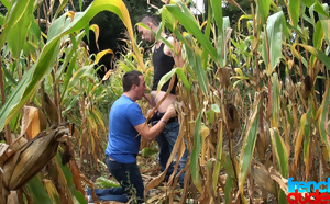 This time I think the corn is ripe